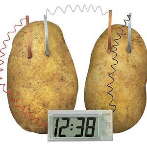 Potato Powered Clock Kit