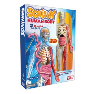 SmartLab Toys Squishy Human Body