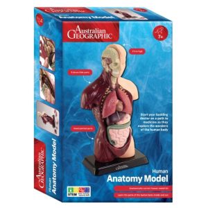 Australian Geographic - Human Anatomy Model 27cm 8 pieces