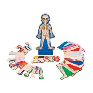 M&D - Human Body Magnetic Dress-Up