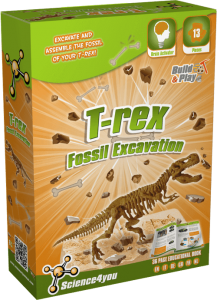 T-Rex Fossil Excavation