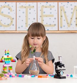 stem bundles toys