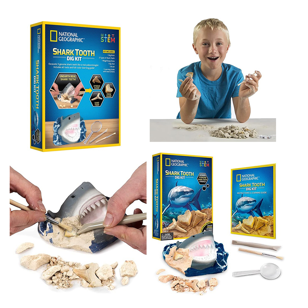 National Geographic Shark Tooth Dig Kit for Kids