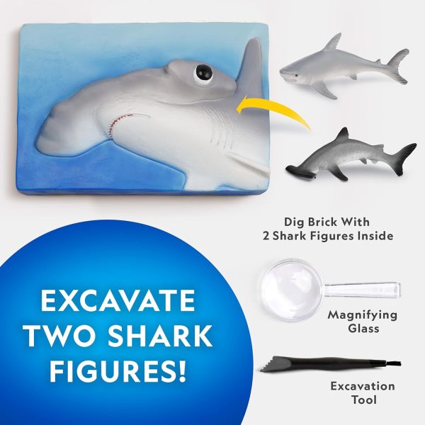 National Geographic Shark Dig Kit - Image 2