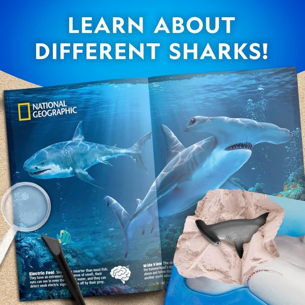 National Geographic Shark Dig Kit - Image 4