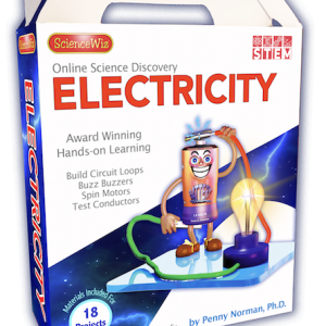 Online Discovery Electricity