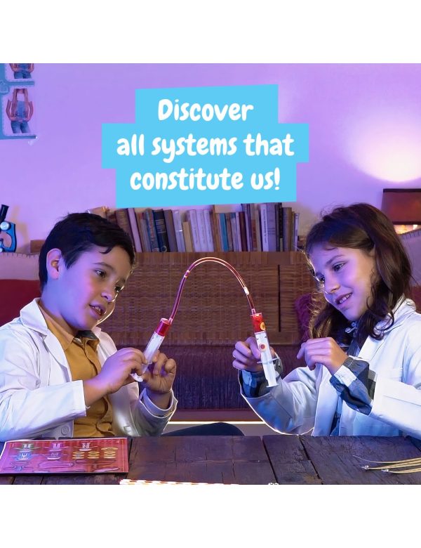 Science4You - Human Body - Image 3